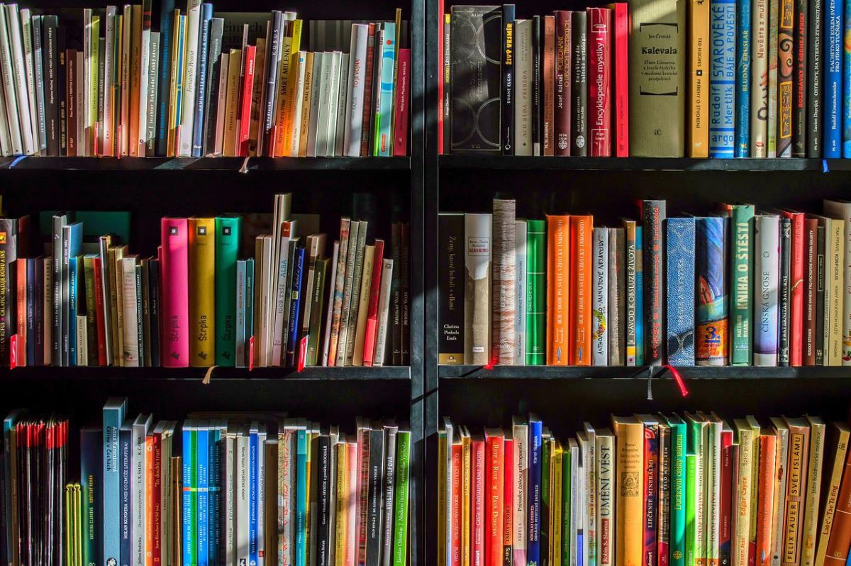 62eaa495b84045ff6853b9c0_books