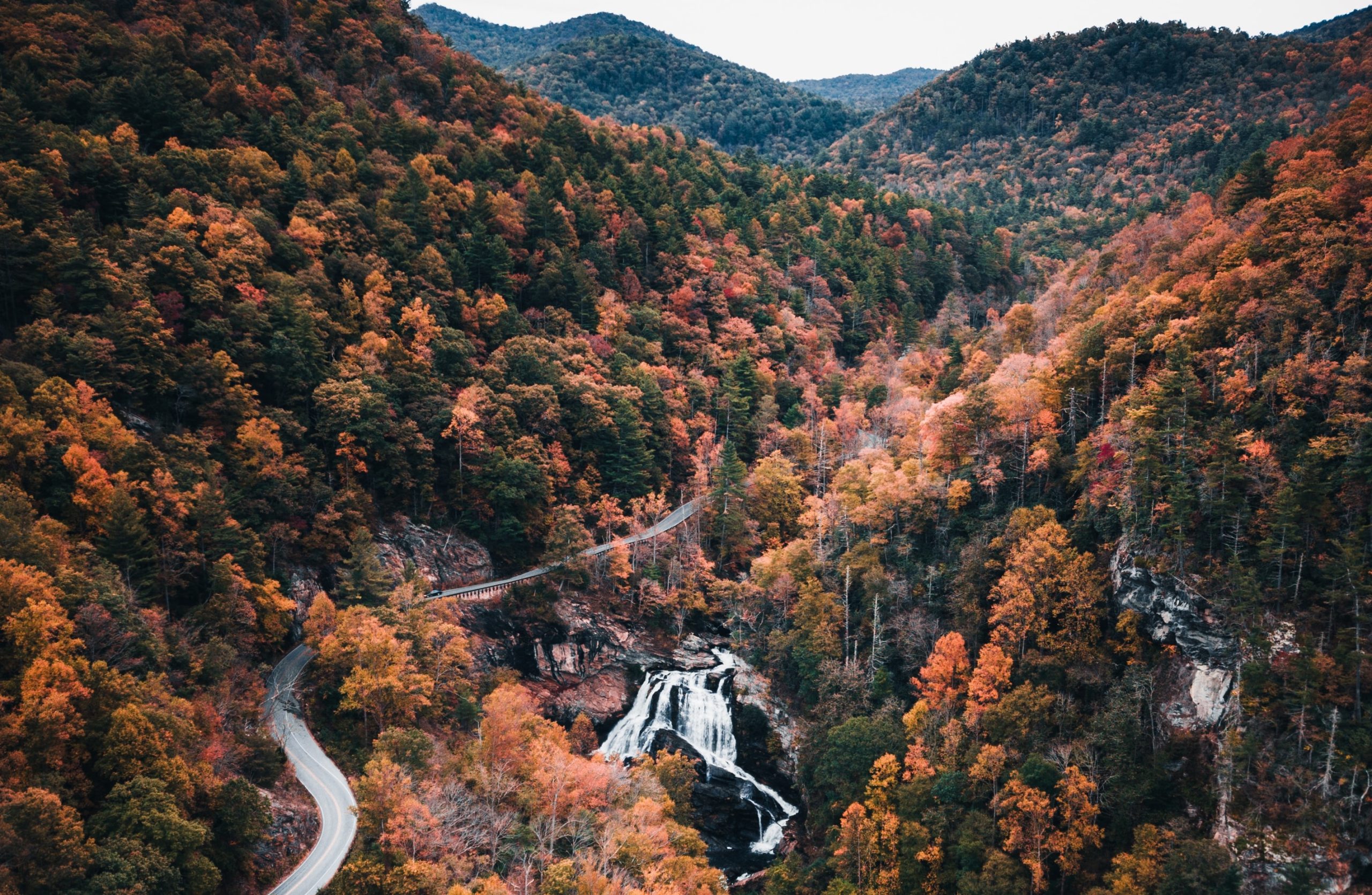 653681ed7a339db9e61ee43e_stephen-cook-JYeDR7bwVBM-unsplash