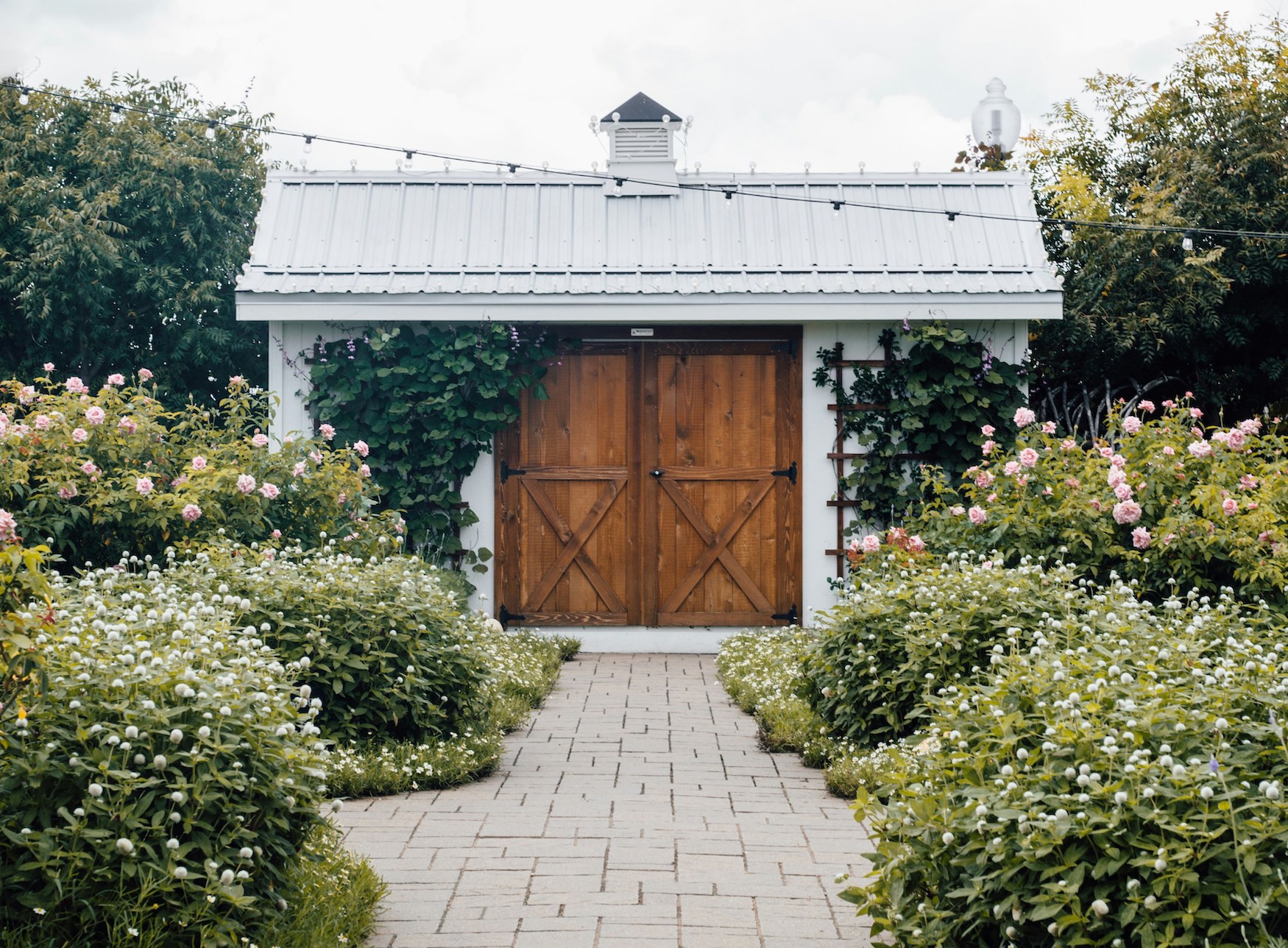 65c3b4b90ad63f1117e94526_annie-shelmerdine-oTH0rBJi86k-unsplash