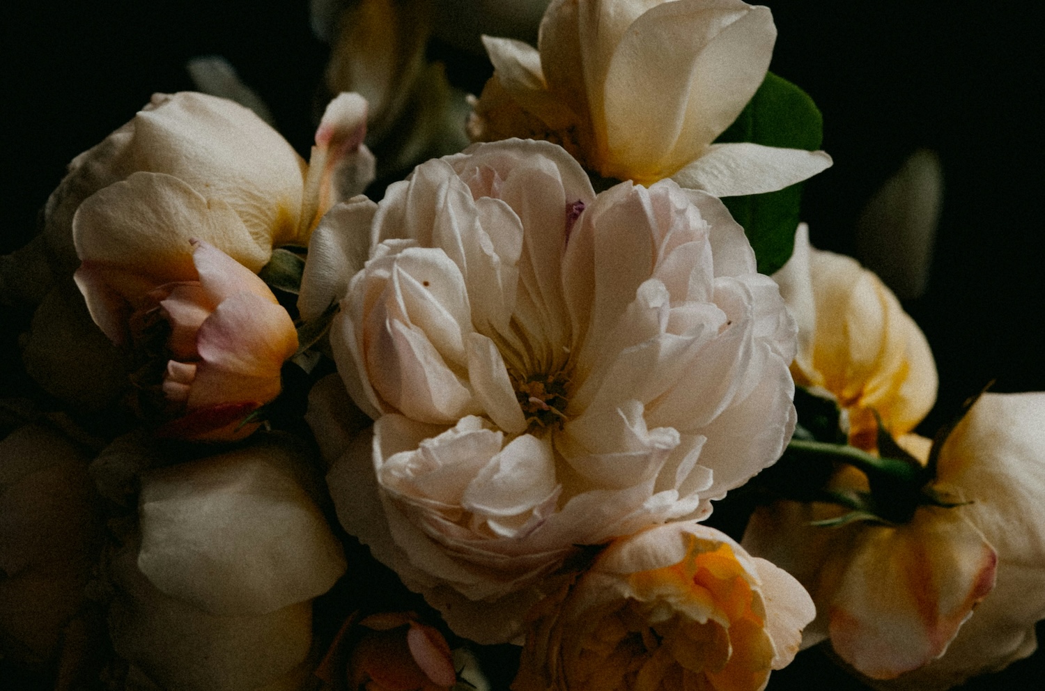 6633e074f6ec654d0b1ccbc0_annie-spratt-H-EJoXhR0a0-unsplash